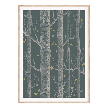 Постер в рамці "Star forest"