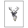 Постер в рамке "Deer"