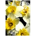 Постер "Narcissus Art"