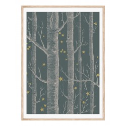 Постер "Star forest"