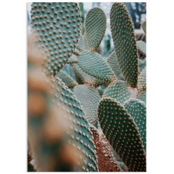 Комплект постерів "Тропіки"