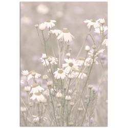 Комплект постерів "Scandi"