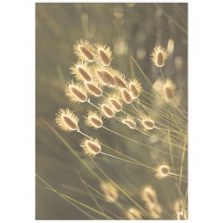 Комплект постерів "Природа"