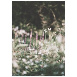 Комплект постеров "Calm"