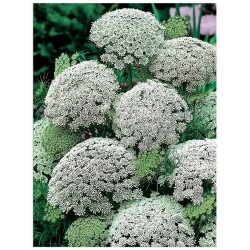 Комплект постерів "Натхнення"