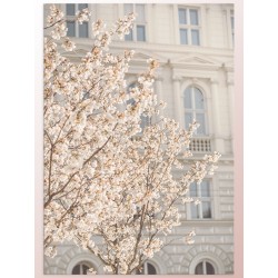 Комплект постеров "Покой"