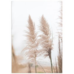 Комплект постеров "Aerial"