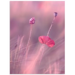 Комплект постеров "Pink love"