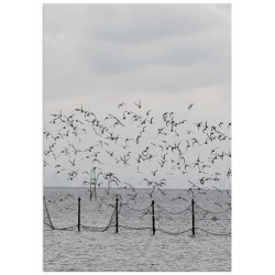 Комплект постерів "Marine"