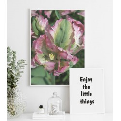 Комплект постеров "Радуйся мелочам"