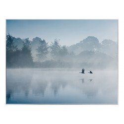 Постер в рамці "Fog"