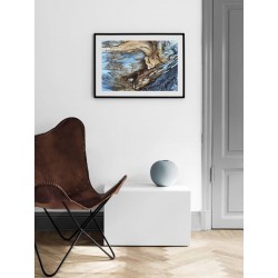 Постер в рамці "Old tree"