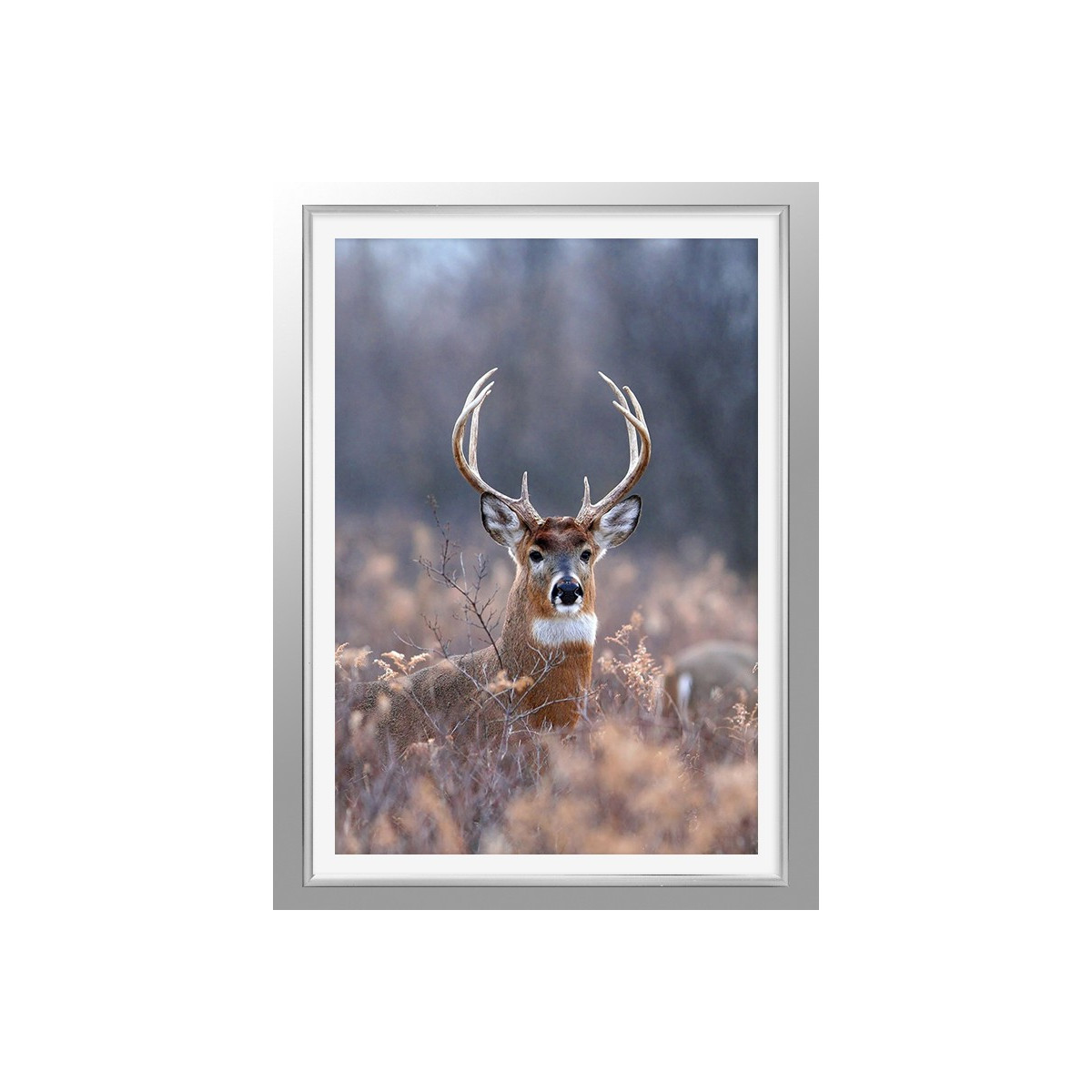 Постер в рамке "Deer"