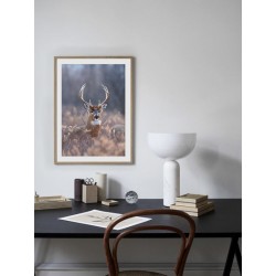 Постер в рамці "Deer"