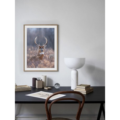 Постер в рамке "Deer"