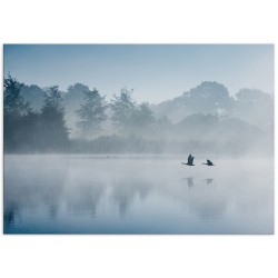 Постер "Fog"