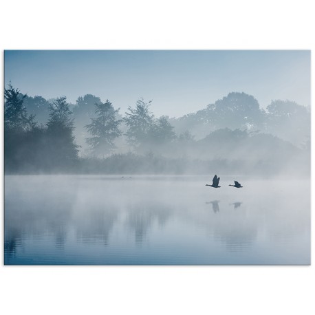 Постер "Fog"