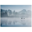 Постер "Fog"