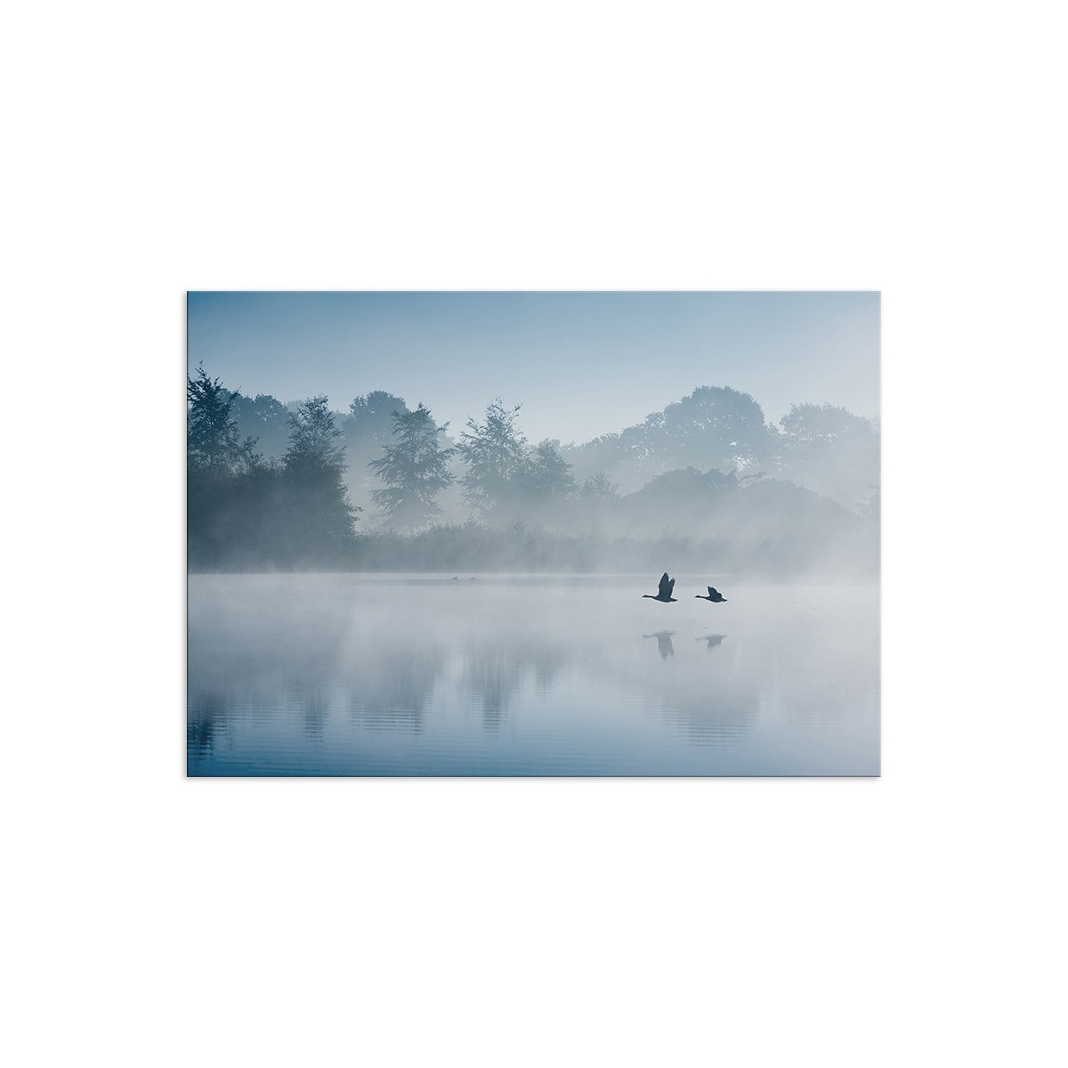 Постер "Fog"