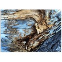 Постер "Old tree"