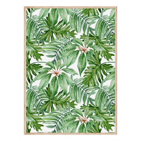 Постер "Tropical"