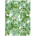 Постер "Tropical"