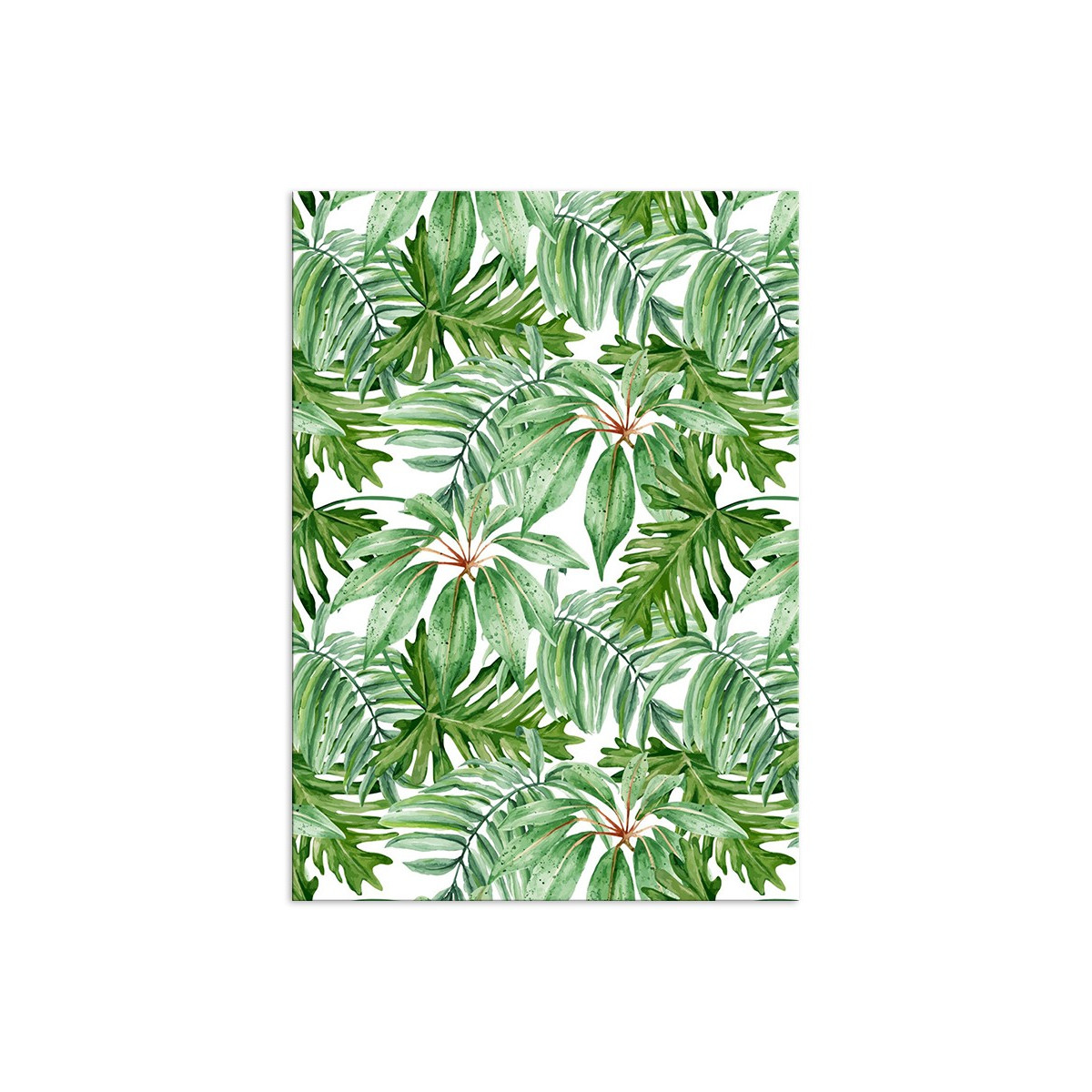 Постер "Tropical"