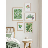 Постер "Cactus"