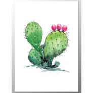 Постер "Cactus"