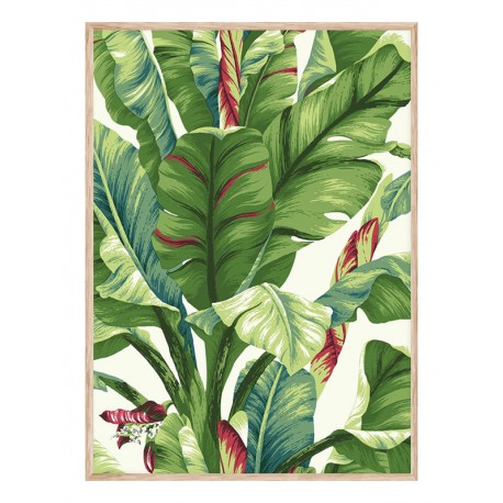 Постер "Tropical"