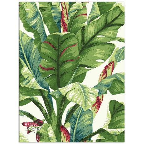 Постер "Tropical"