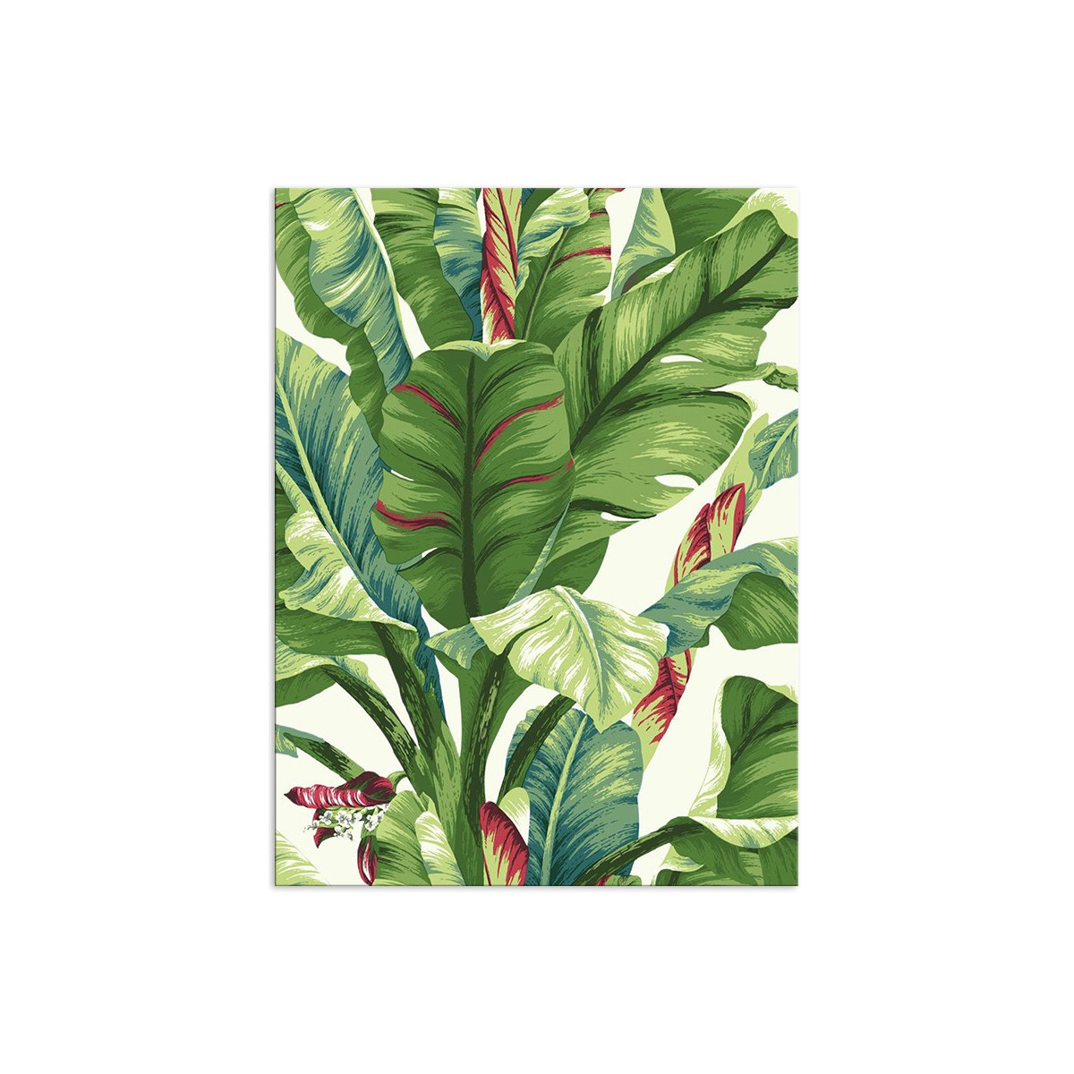 Постер "Tropical"