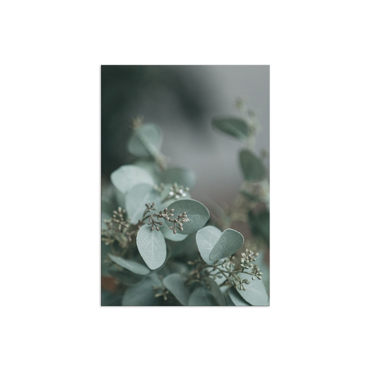 Постер "Twig"