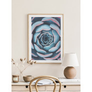 Постер "Succulents"