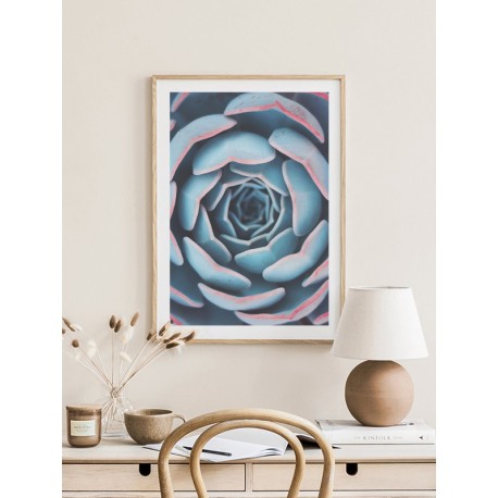 Постер "Succulents"