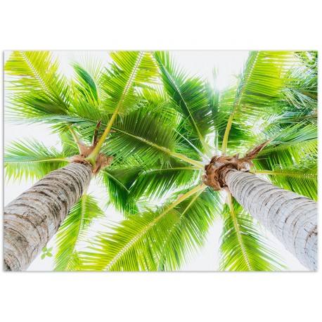 Постер "Palm"