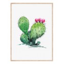 Постер в рамке "Cactus"
