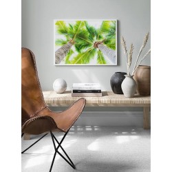 Постер в рамке "Palm"