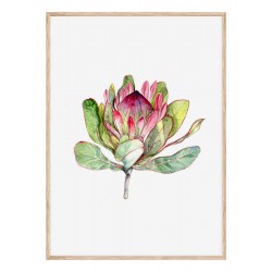 Комплект постерів в рамках "Tropical"