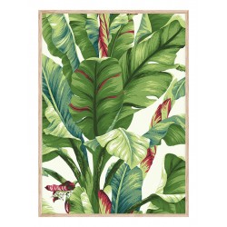 Комплект постерів в рамках "Tropical"