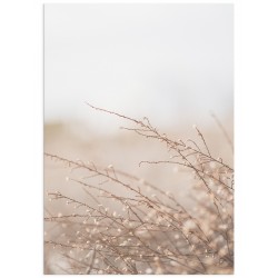 Комплект постеров "Summer mood"