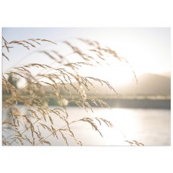 Комплект постерів "Summer mood"