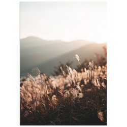 Комплект постерів "Place"