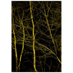 Комплект постеров "Silhouette"