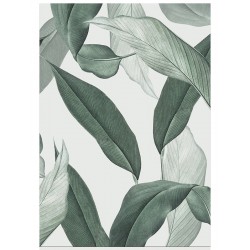 Комплект постерів "Tropic"