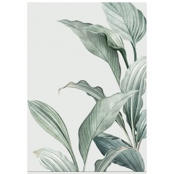 Комплект постеров "Tropic"