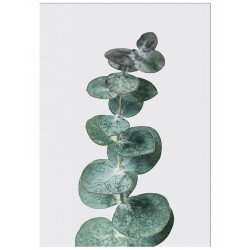 Комплект постерів "Trust"