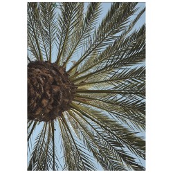 Комплект постеров "Trust"