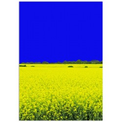 Комплект постерів "Yellow-blue"