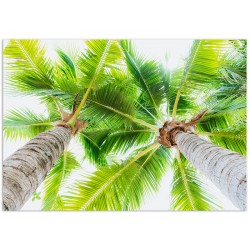 Комплект постерів "Yellow green"